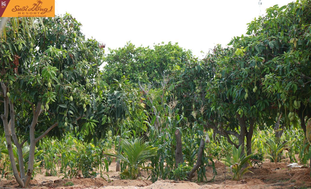 Suoi Hong Resort Mui Ne Luaran gambar